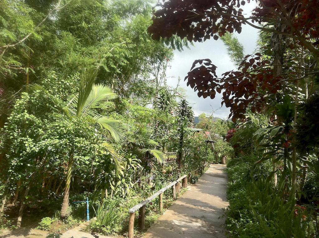 فندق كالاوفي  Nature Land المظهر الخارجي الصورة