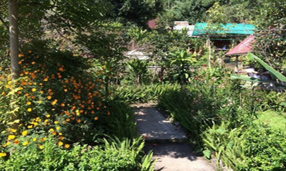 فندق كالاوفي  Nature Land المظهر الخارجي الصورة